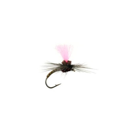 Olive Synquill Klinkhamer