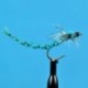 Parachute Black Ant