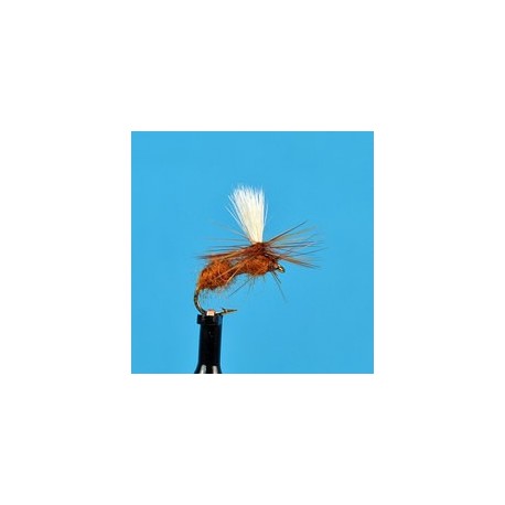 Parachute Blue Damsel