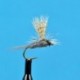 Parachute Caddis Olive