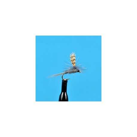 Parachute Callibatis