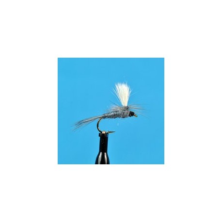 Parachute Cinnamon Ant