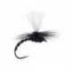 Parachute Dark Hendrickson