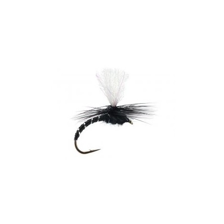 Parachute Dark Hendrickson