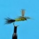 Parachute Dun