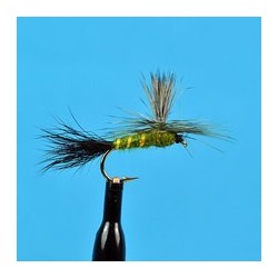 Parachute Dun