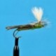 Parachute Green Drake