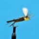 Parachute Hares Ear
