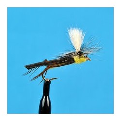 Parachute Hares Ear