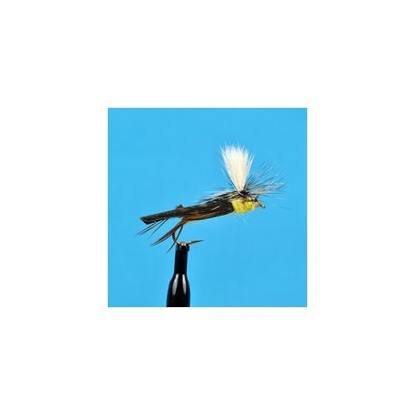 Parachute Hares Ear
