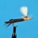Parachute Hopper Olive