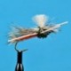 Parachute Light Hendrickson