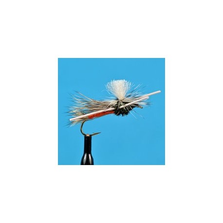 Parachute Light Hendrickson