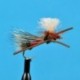 Parachute Madam X Pmx Peacock