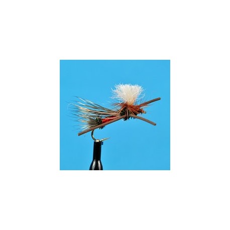Parachute Madam X Pmx Peacock