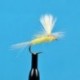 Parachute March Brown
