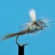 Parachute Mosquito
