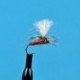 Parachute Royal Coachman