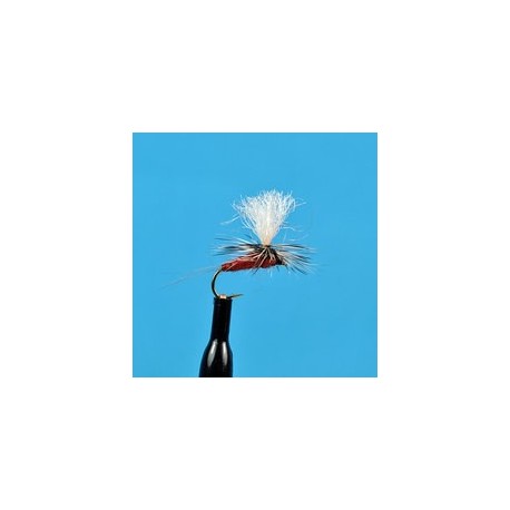 Parachute Royal Coachman