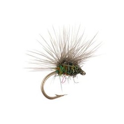 Parachute White Fly