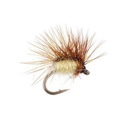 Paraloop March Brown