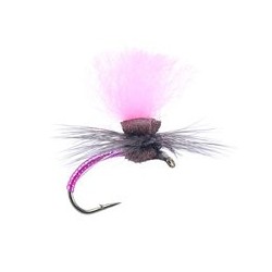 Pink Magic Pearl Klinkhamer