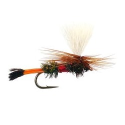 Royal Coachman Parachute Superb