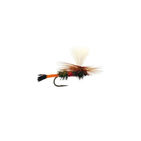 Royal Coachman Parachute Superb