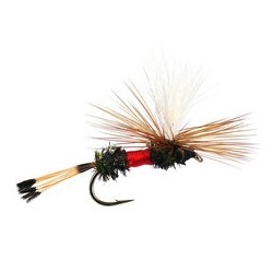 Royal Coachman Parachute
