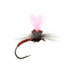 Rusty Synquill Klinkhamer