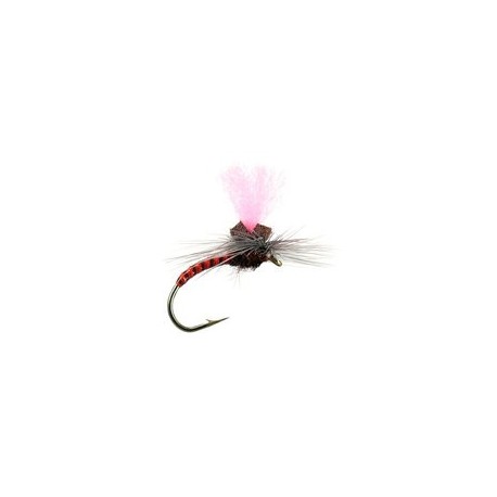 Rusty Synquill Klinkhamer