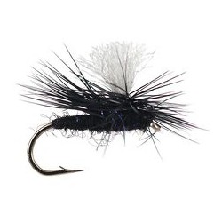 Swishers Dancing Caddis Black