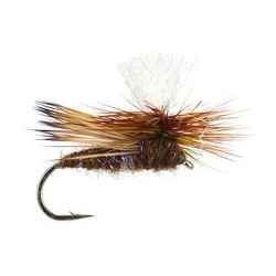 Swishers Dancing Caddis Olive