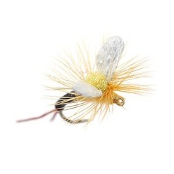 Trinas Etha Wing Emerger Sulpher