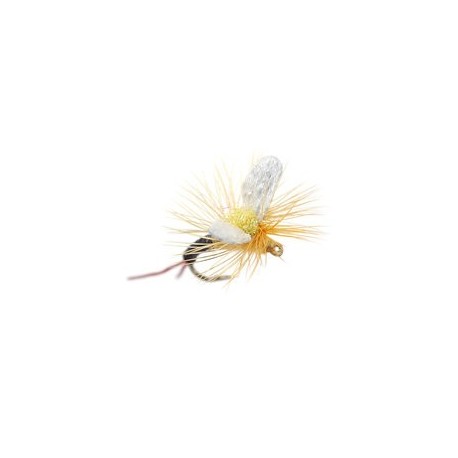Trinas Etha Wing Emerger Sulpher