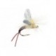 Trinas Etha Wing Emerger Pmd