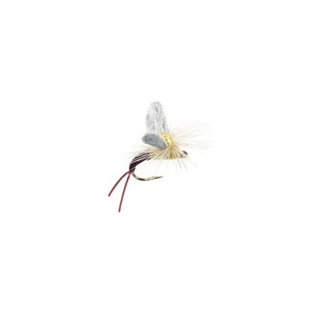 Trinas Etha Wing Emerger Pmd