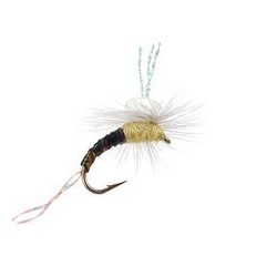 Trinas Hi Vis Sprout Pmd