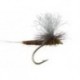 Trinas X Body Parachute Bwo