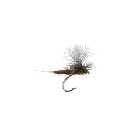 Trinas X Body Parachute Bwo