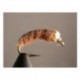 Bh Bottom Bouncing Caddis Brown