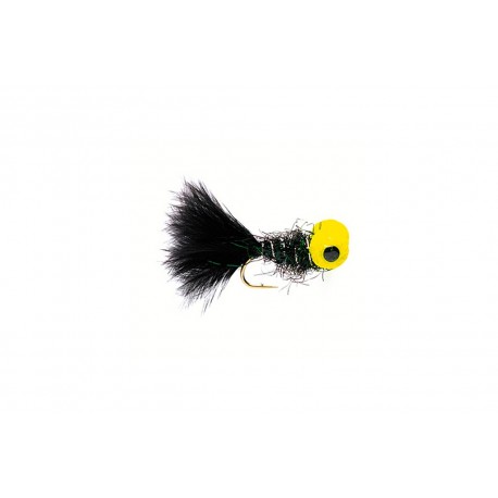 Big Eyed Panfish Bug Black