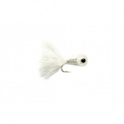 Big Eyed Panfish Bug White