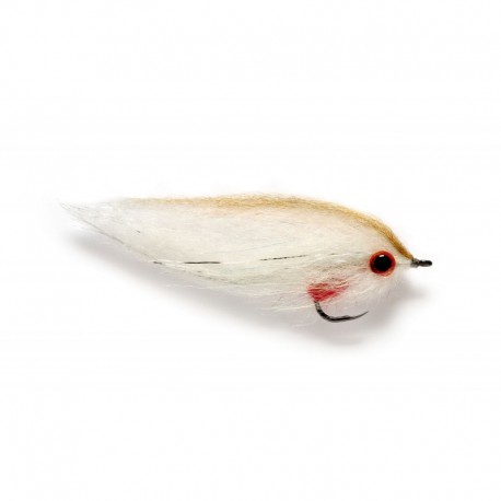 Dougie's Roach