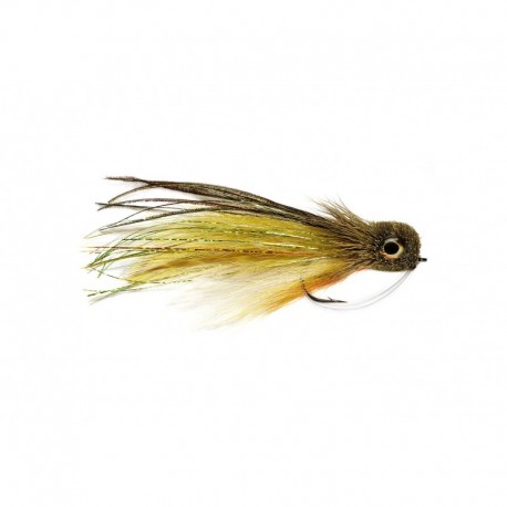 Fat Head Deceiver Perch