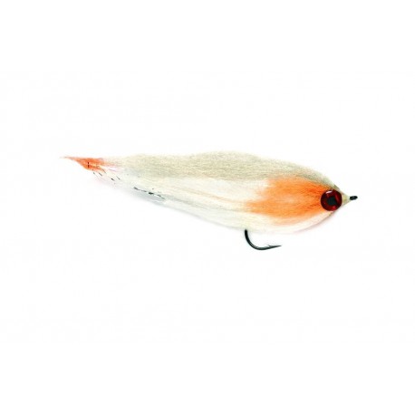 Fm Fry Roach