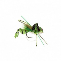 Frog Legged Diver