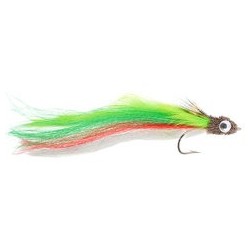 Green Tailed Catcher