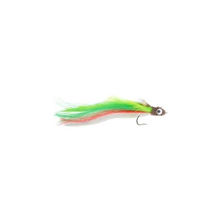 Green Tailed Catcher