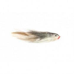 Joe's Flathead Shad